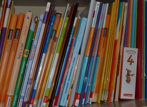 Das Bild zeigt viele verschiedene Schulbücher in einem Regal.