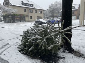 Weihnachtsbaum mit Schnee bedeckt am Straßenrand