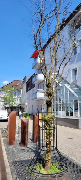 Die Stieleiche am "Ort des Erinnerns" in der Hochstraße muss ausgetauscht werden.