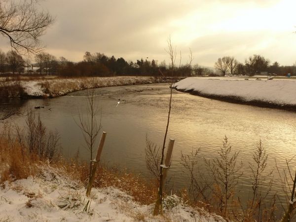 Die frisch gestaltete Hönnemündung am 11.12.12 von der Fröndenberger Ruhrseite aus betrachtet, die aus dem Wasser ragenden Reste einer Holzpfahlreihe (s. Pfeil) markieren den vorherigen Uferböschungsfuß