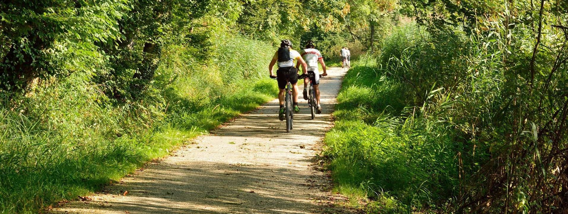 Fahrradfahrer