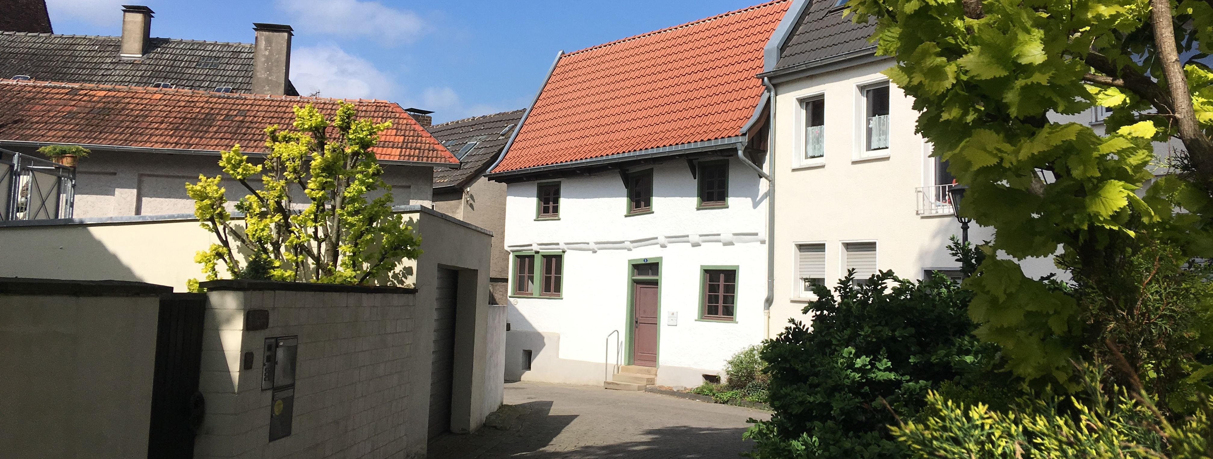 Blick auf das Schmarotzerhaus. Im Vordergrund stehen rechts ein Baum und links einige Sträucher, die das Schmarotzerhaus einrahmen.