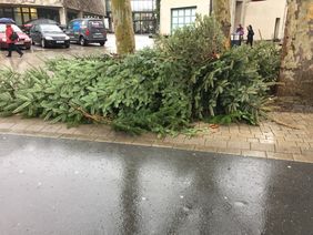 ausgediente Weihnachtsbäume liegen am Straßenrand und warten darauf, abgeholt zu werden.