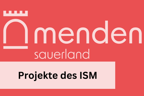 Projekte des ISM