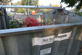 Ein grauer Abfallcontainer aus Metall, in dem sich Grünabfälle befinden