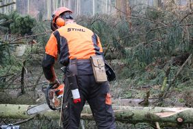 Ein Forstmitarbeiter in voller Schutzkleidung mit orangefarbenem Helm entastet einen liegenden Baumstamm mit einer Kettensäge.