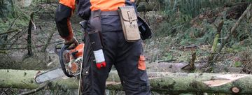 Ein Forstmitarbeiter in voller Schutzkleidung mit orangefarbenem Helm entastet einen liegenden Baumstamm mit einer Kettensäge.