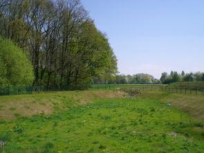 Regenrückhaltebecken wie im Baugebiet Abendsiepen im Ortsteil Halingen werden oftmals als offene Erdbecken angelegt, so dass sie nach Fertigstellung mit Rasen begrünt werden können. Bewuchs im Sinne von Sträuchern / Bäumen ist i.d.R. aber nicht möglich, da die Becken eine technische Abdichtung zum Untergrund besitzen.