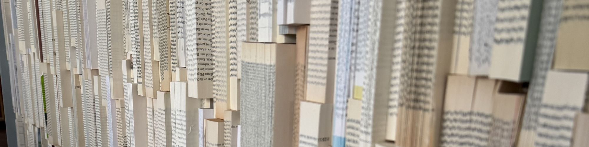 Die Bücherwand in der Dorte-Hilleke-Stadtbibliothek