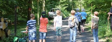 Fünf Jungen stehen auf einem Waldweg. In ihren Händen halten sie Holzstäbe und versuchen mit durchgestrecktem Arm die Höhe eines Baumes zu schätzen.
