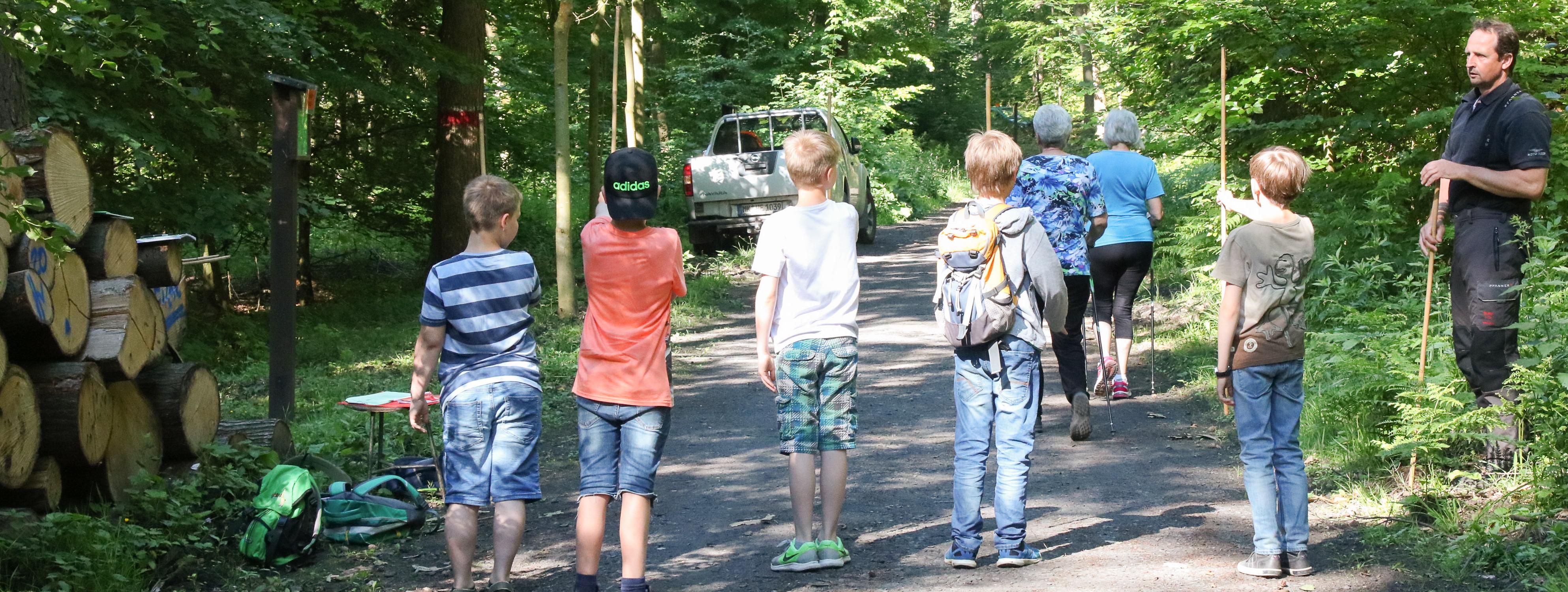Fünf Jungen stehen auf einem Waldweg. In ihren Händen halten sie Holzstäbe und versuchen mit durchgestrecktem Arm die Höhe eines Baumes zu schätzen.