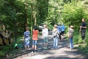 Fünf Jungen stehen auf einem Waldweg. In ihren Händen halten sie Holzstäbe und versuchen mit durchgestrecktem Arm die Höhe eines Baumes zu schätzen.