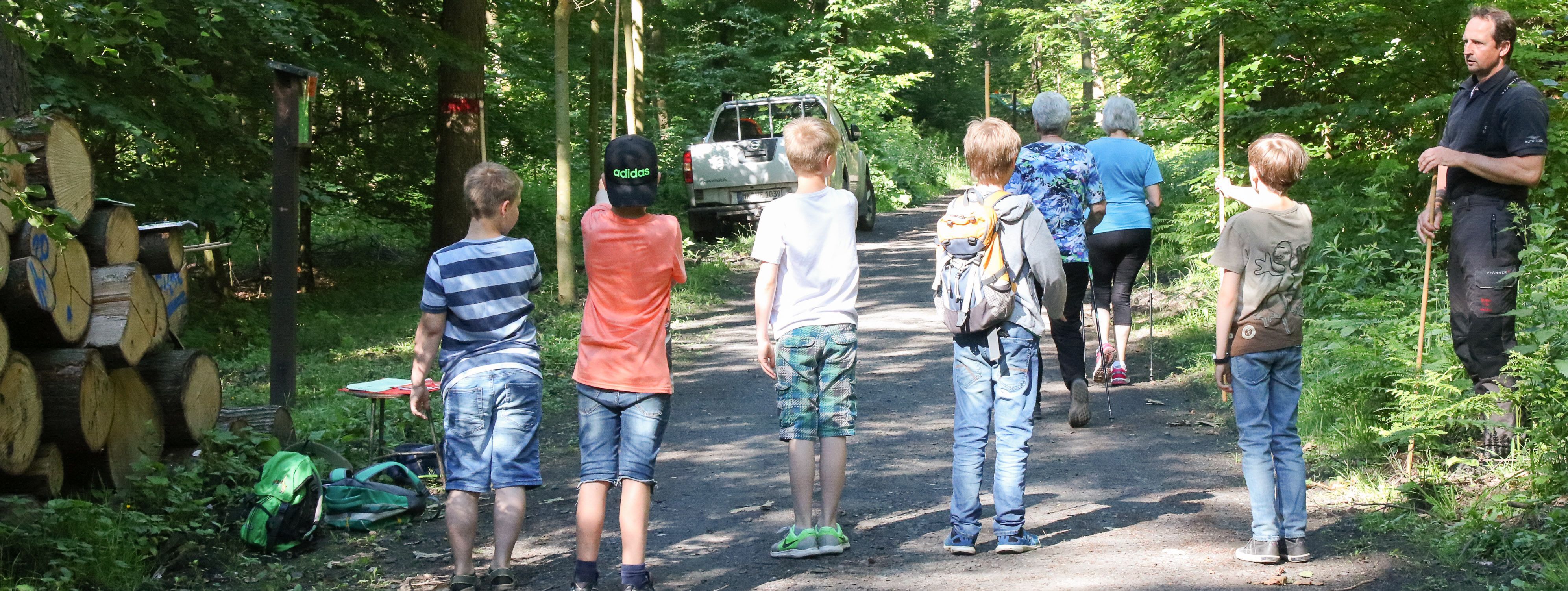 Fünf Jungen stehen auf einem Waldweg. In ihren Händen halten sie Holzstäbe und versuchen mit durchgestrecktem Arm die Höhe eines Baumes zu schätzen.