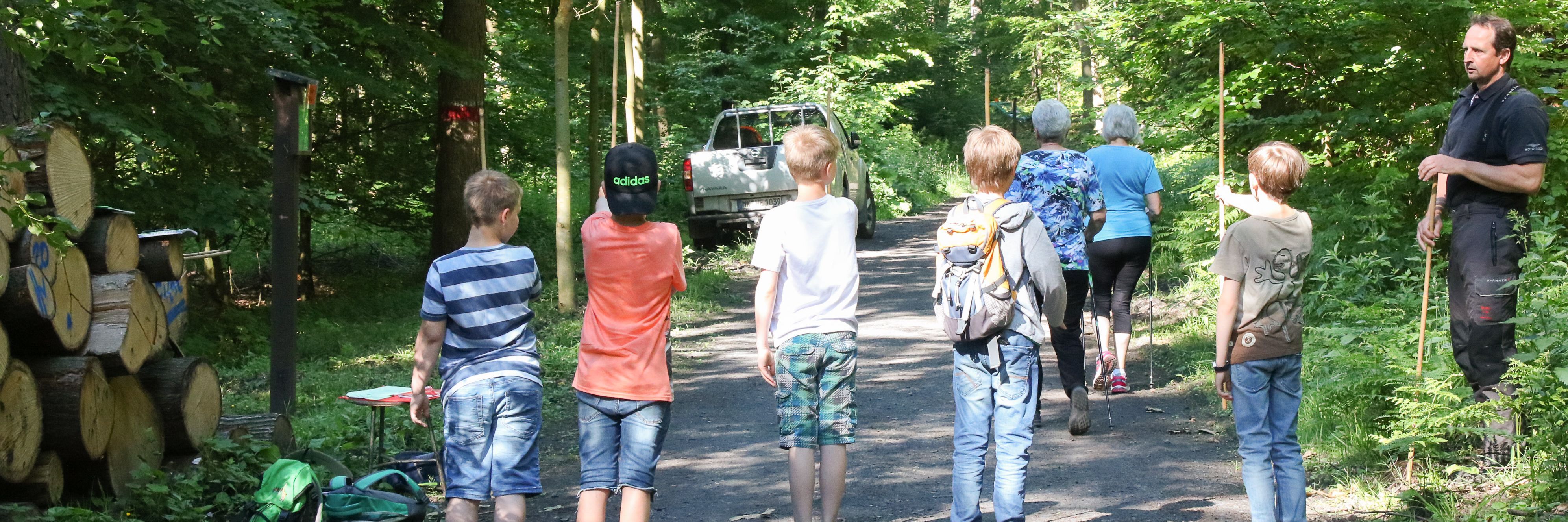 Fünf Jungen stehen auf einem Waldweg. In ihren Händen halten sie Holzstäbe und versuchen mit durchgestrecktem Arm die Höhe eines Baumes zu schätzen.