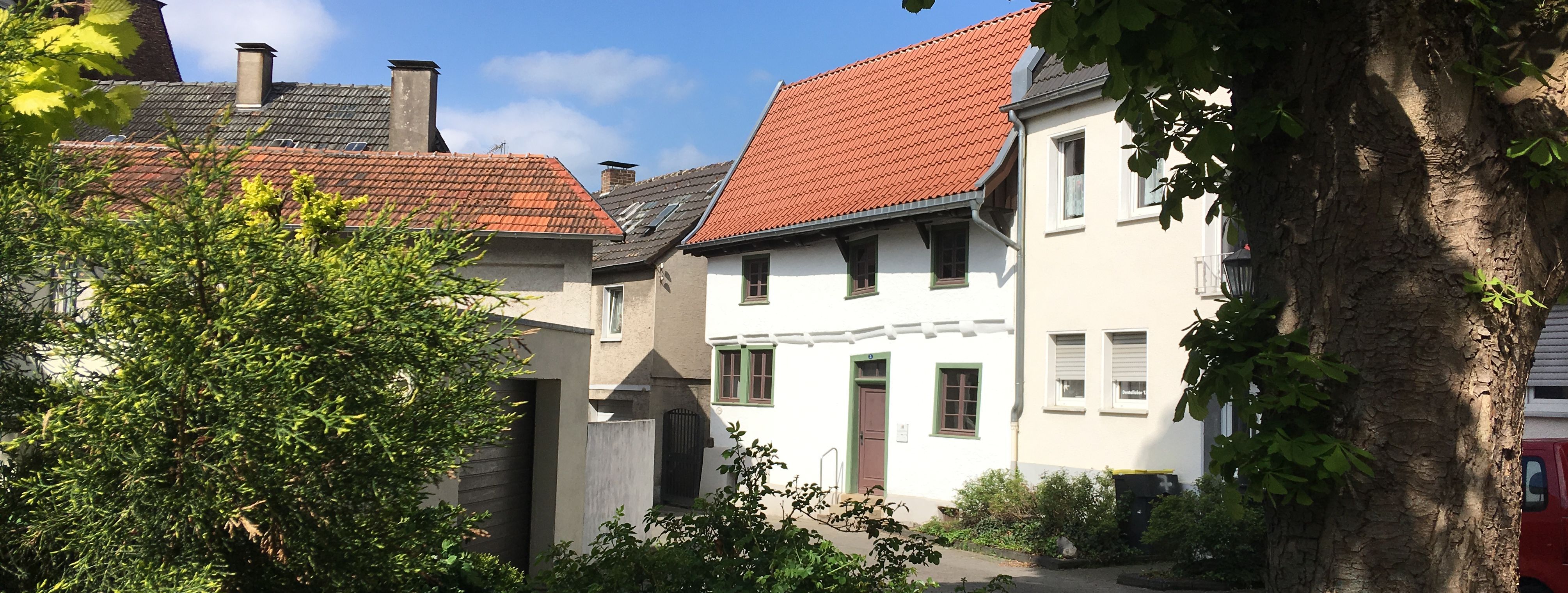 Blick auf das Schmarotzerhaus. Im Vordergrund stehen rechts ein Baum und links einige Sträucher, die das Schmarotzerhaus einrahmen.