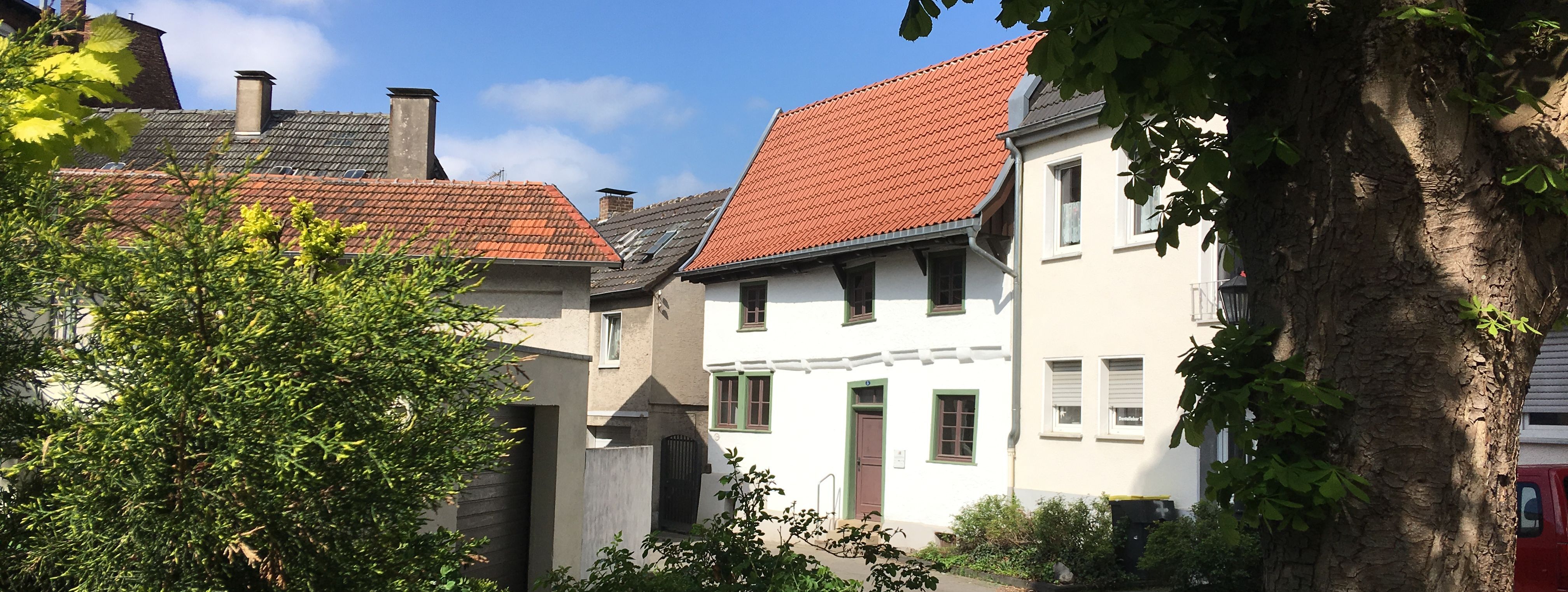 Blick auf das Schmarotzerhaus. Im Vordergrund stehen rechts ein Baum und links einige Sträucher, die das Schmarotzerhaus einrahmen.