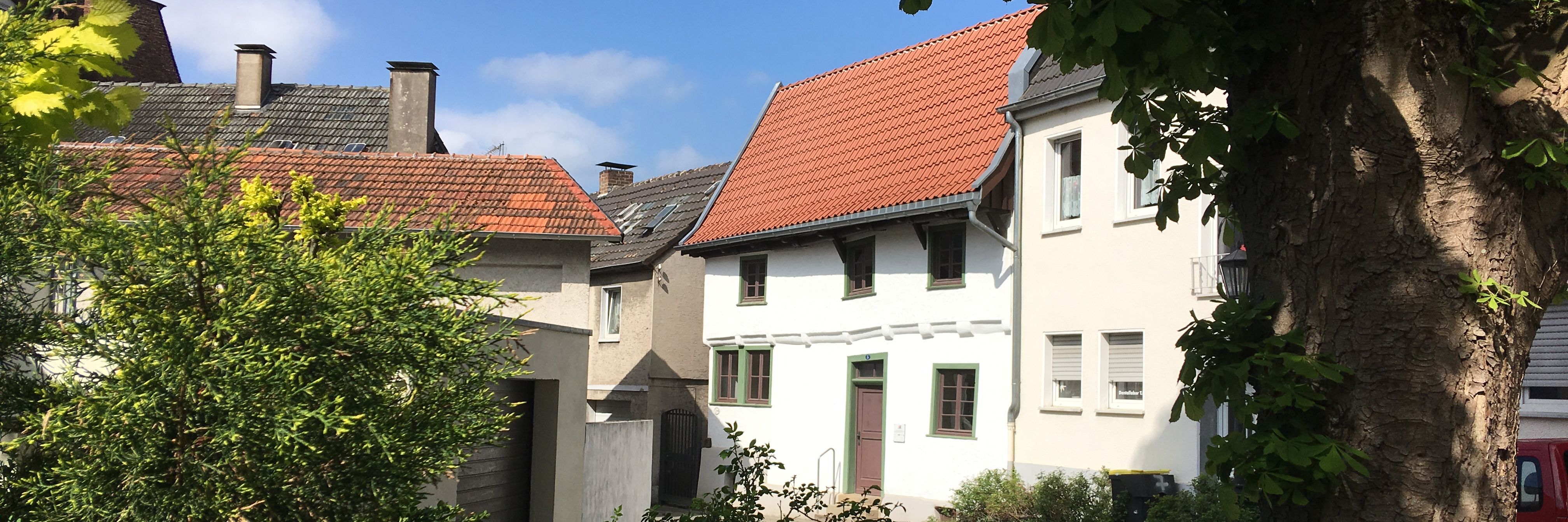 Blick auf das Schmarotzerhaus. Im Vordergrund stehen rechts ein Baum und links einige Sträucher, die das Schmarotzerhaus einrahmen.