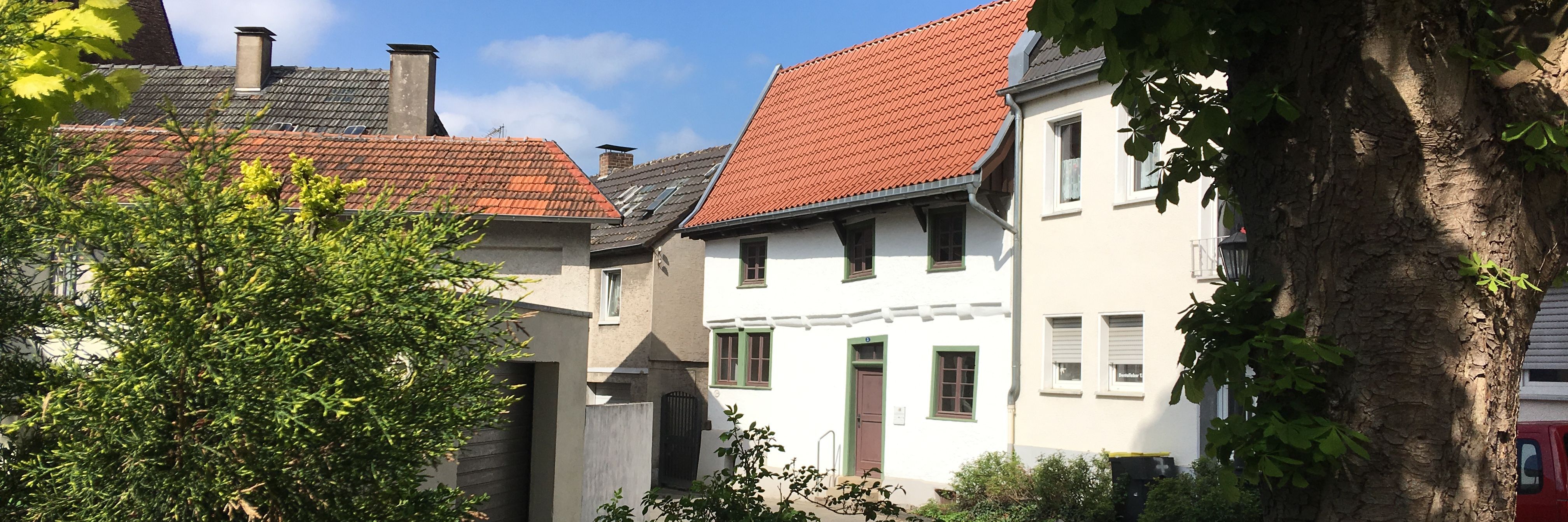 Blick auf das Schmarotzerhaus. Im Vordergrund stehen rechts ein Baum und links einige Sträucher, die das Schmarotzerhaus einrahmen.