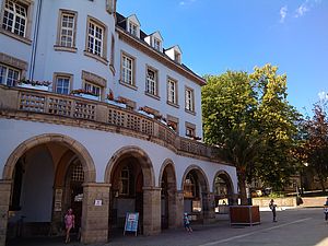 Ein Großteil des Alten Rathauses vom Marktplatz aus fotografiert. Man sieht den blauen Himmel und den großen Baum auf dem Kirchplatz.