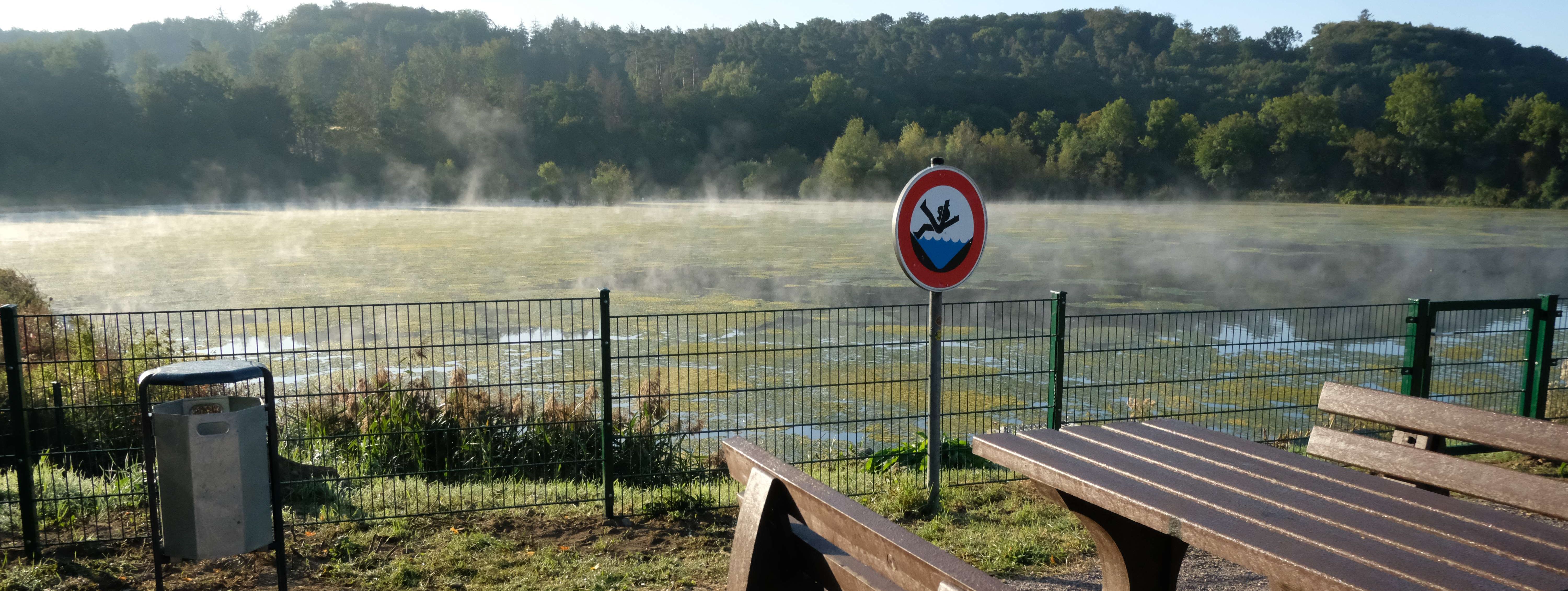 Die neu angelegten Oeseteiche. Auf dem Wasser wabern noch Nebelschwaden. Die Oberfläche der Teiche ist mit allerlei Wasserpflanzen bedeckt. An den abgezäunten Teichen stehen Bänke und ein Tisch, die zum Rasten einladen.