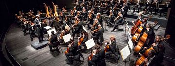 Die Neue Philharmonie Westfalen.