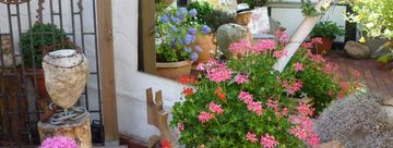 Bunte Blumen stehen in großen Übertöpfen aus Keramik vor einem Fachwerkhaus.