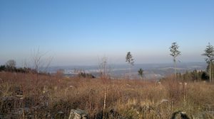 Blick auf den Wald und auf Menden