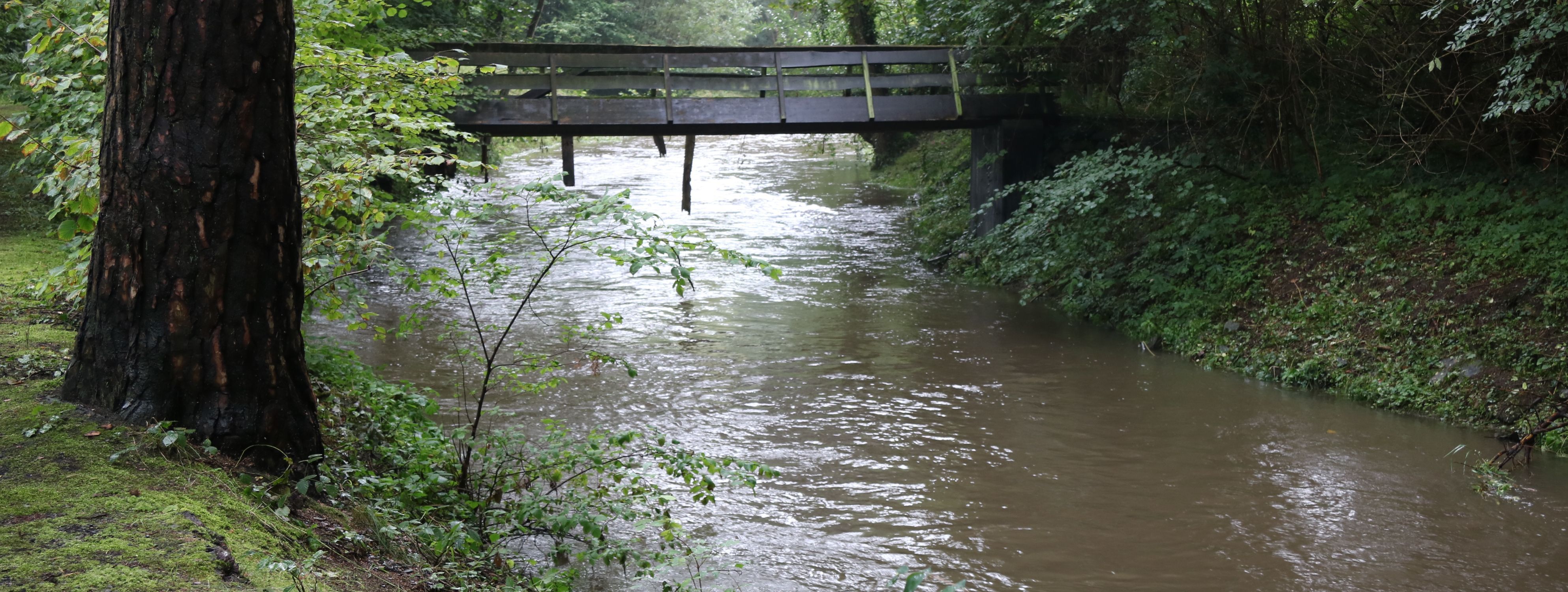 Die Hönne mit angestiegenem Wasserstand, darüber verläuft eine alte Brücke aus Holz