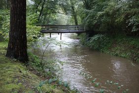 Die Hönne mit angestiegenem Wasserstand, darüber verläuft eine alte Brücke aus Holz