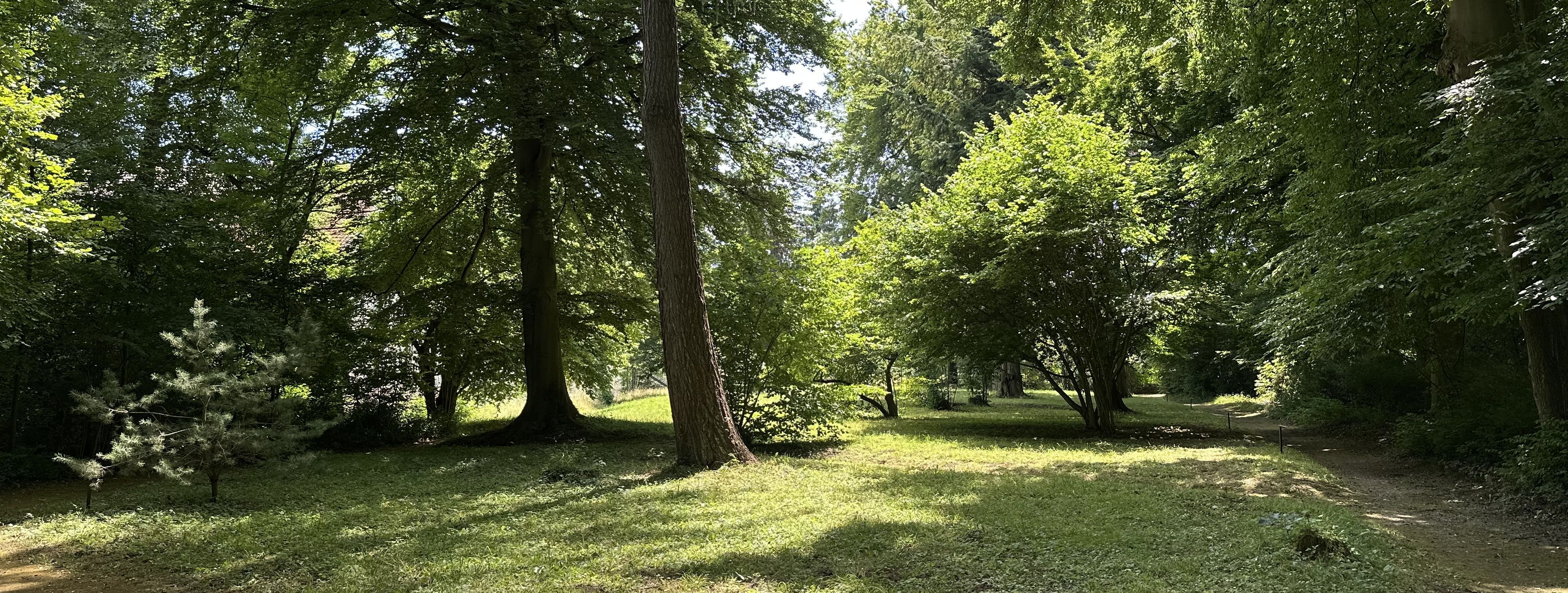 Der Englische Garten von Gut Rödinghausen.