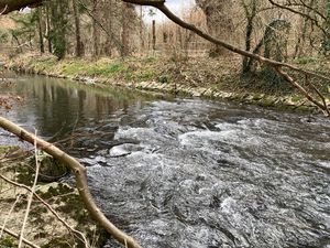 Wasserkraft