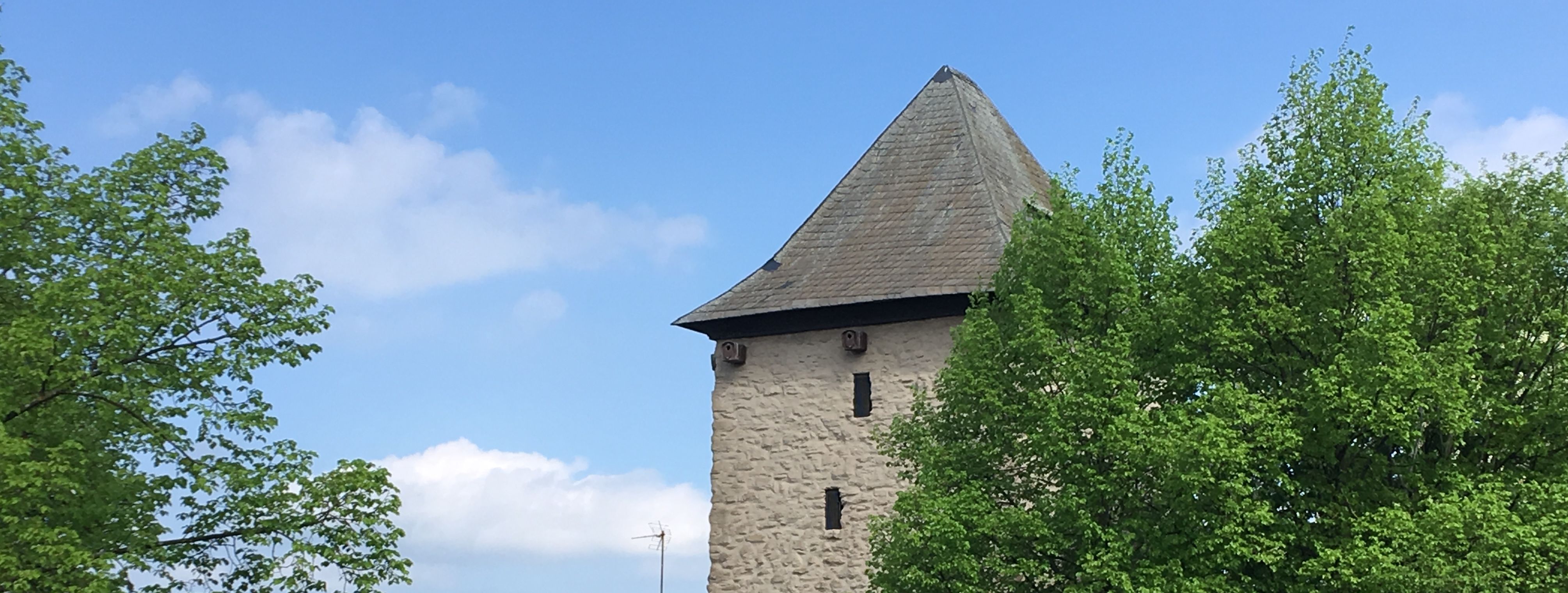 Ein Foto vom Poenigeturm, ein heller geschlämmter viereckiger Steinturm mit dunklem Spitzdach. Abgebildet ist die obere Hälfte des Turmes, an der rechten Seite wird der Turm durch einen Kastanienbaum in vollem Blattgrün verdeckt.