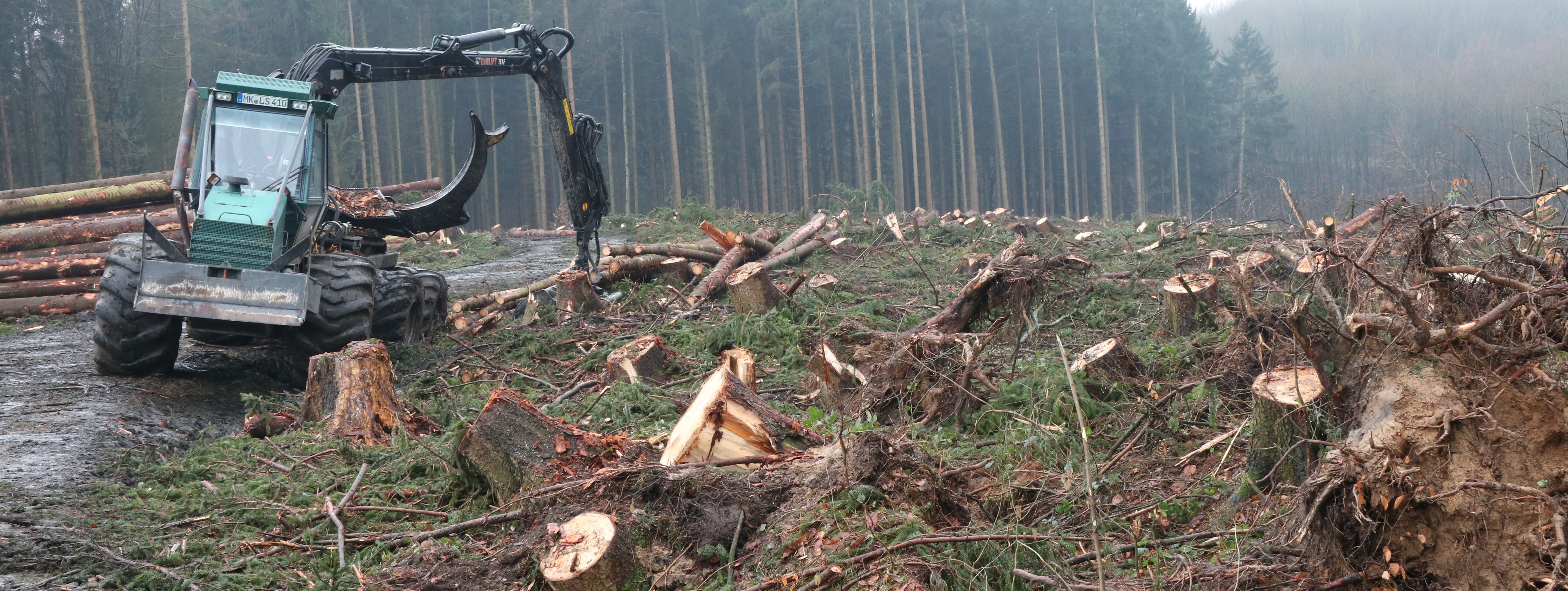 Ein schwerer Schlepper mit Greifarm steht auf dem Waldweg zum Friedhof am Limberg. Neben dem Weg sind zahlreiche Baumstümpfe, abgebrochene Äste und Stämme zu sehen. Im Hintergrund stehen noch einige Fichten, die den Sturm überstanden haben.