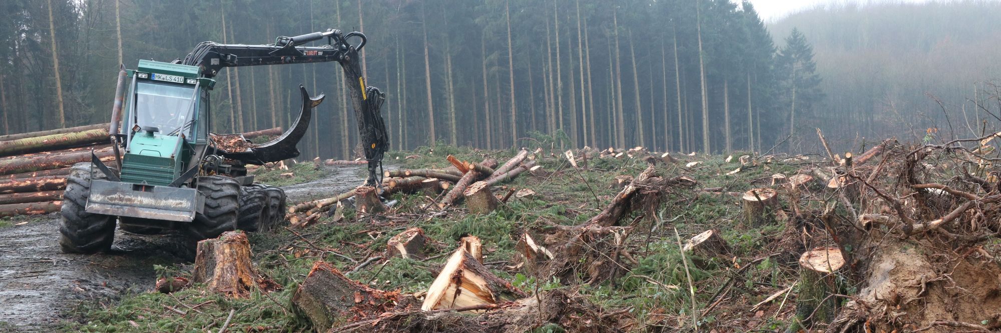 Ein schwerer Schlepper mit Greifarm steht auf dem Waldweg zum Friedhof am Limberg. Neben dem Weg sind zahlreiche Baumstümpfe, abgebrochene Äste und Stämme zu sehen. Im Hintergrund stehen noch einige Fichten, die den Sturm überstanden haben.