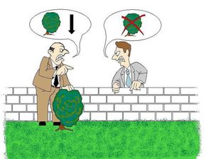 Karikatur zum Streit an der Grundstücksgrenze