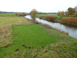 Liegewiese mit gemähtem Zugang zur Ruhr 