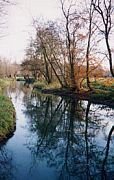 Zu sehen ist ein Bild von der Maroeuiler Morrlandschaft. Auf dem Foto sieht man einen Fluss, der von Bäumen gesäumt ist. 